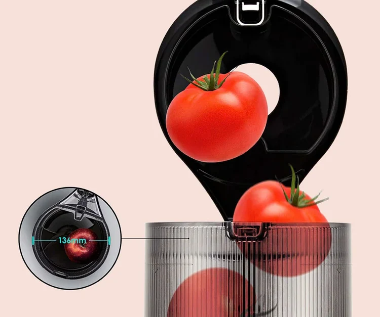 Hurom H320N Slow Juicer - Image 6