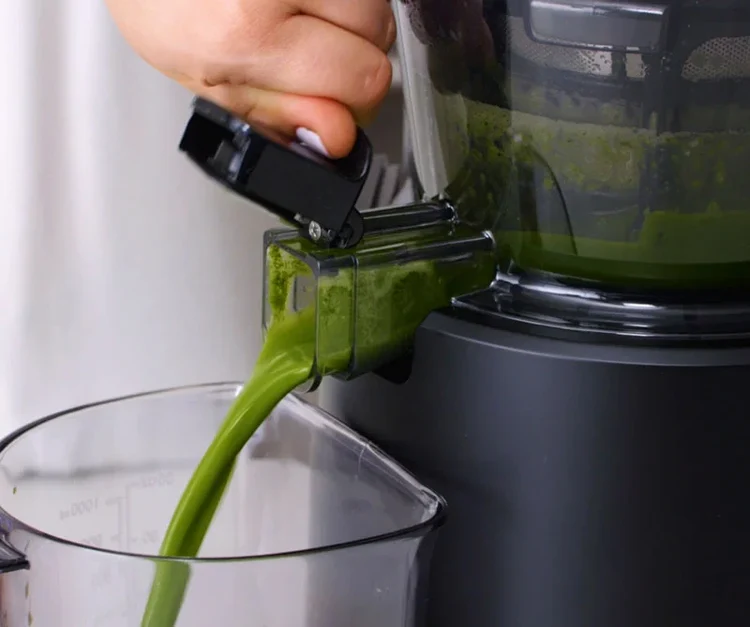 Hurom H320N Slow Juicer - Image 3