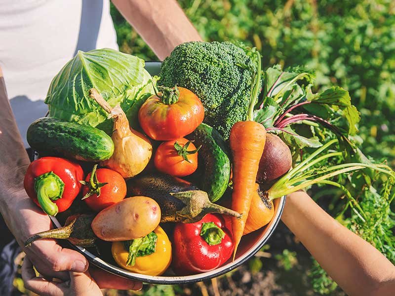 Our 6 of the Best Organic Chocolates to Buy. - hurom Organic beauty products online shopping