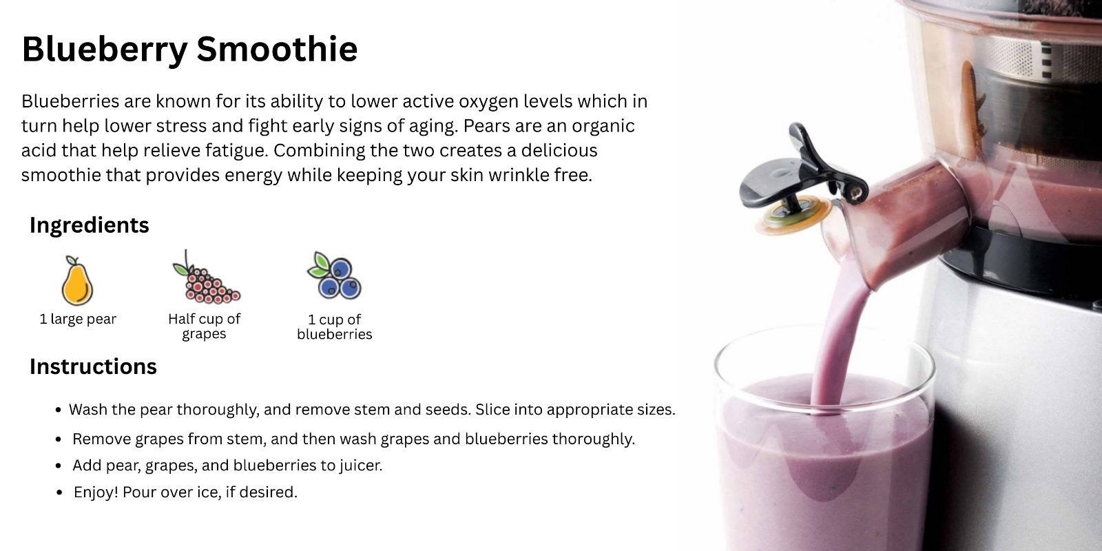 WhatsApp Image 2026-02-24 at 4.36.53 PM